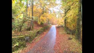 Alison Moyet - Filigree (with lyrics)