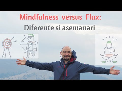 Mindfulness versus Flux: asemanari si deosebiri