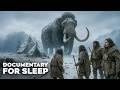 How Did Humans Survive The Ice Age Documentary For Sleep