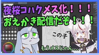 【おえかき配信】夜桜コハクをメス化させるぞ！！！！野郎ども続け！！！！【生配信】#Vtuber　#こまこまらいぶ