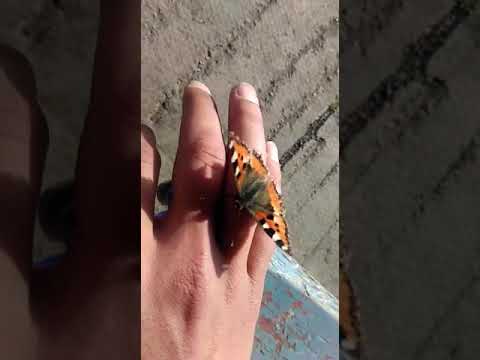 Весна на кончиках пальцев