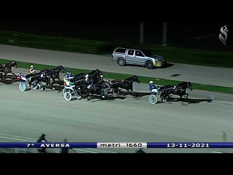 Aversa trotto 13 Novembre 2021 - 7° Corsa