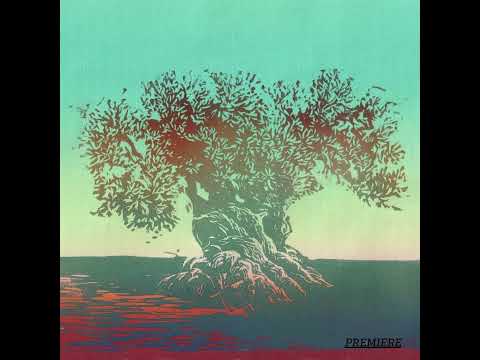 Premiere: Toki Fuko - Aché