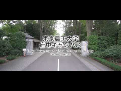 東京農工大学 府中キャンパス ドローン空撮動画