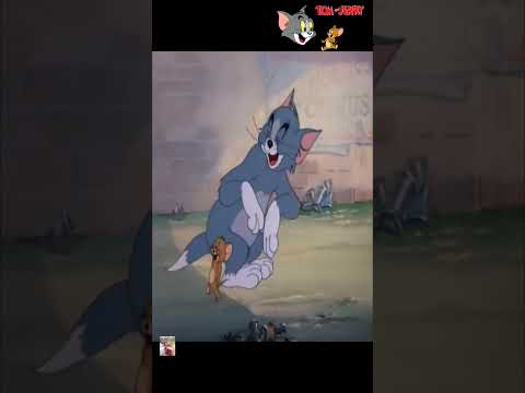 This video clip explains the relationship between Palestinians, Arabs and Israel.