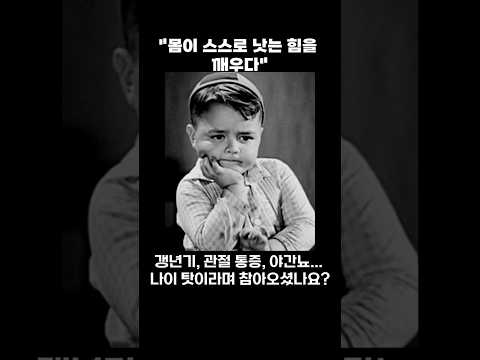 『태반 혁명』 신간 출간 - 쇼츠 뉴스(안현우, 나비의활주로)