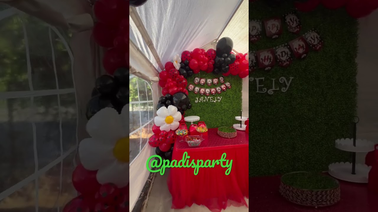 Miraculous party decorations #miraculous #miraculousladybug #miraculousparty #miraculousballoons