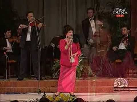 Kovács Apollónia: Lila krizantémok