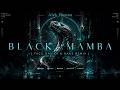 Alek Human - Black Mamba (FACU DAVILA DJ & NAHS Remix Radio Edit)