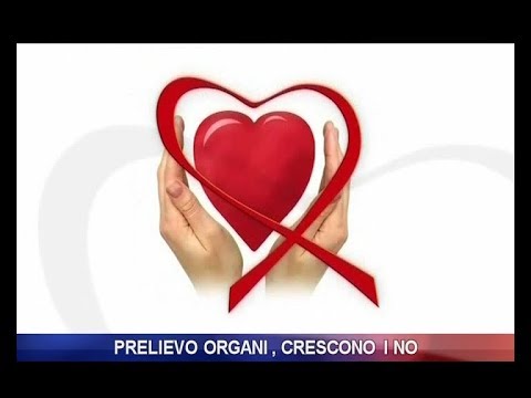 Impaza recensioni controindicazioni effetti collaterali Maggiore potenza wook-wook