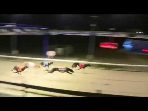 CORAL CORONATION CUP - HEAT 5 - T6 SPARTA MASTER