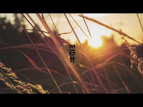 Aaaron & Deckert feat. Meggy - Shadows (Sobek Edition) MIDH Premiere