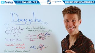 How does Doxycycline Work