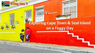 Cape Town South Africa Vlog | Cape Town City Tour | Road Trip South Africa |South Africa Vlog Indian