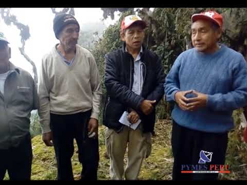 REGIÓN AMAZONAS : identificando recursos turísticos en Santa María Pisuquia