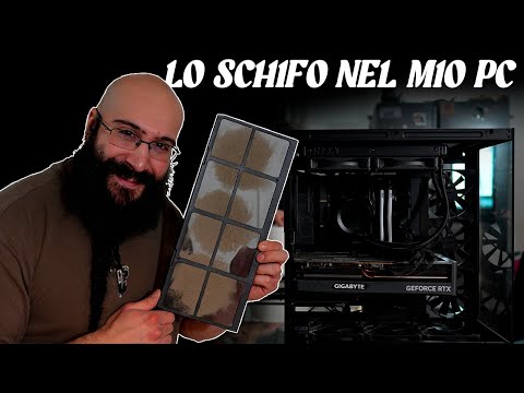 DINO'S LIFE - THE CRAP IN MY PC