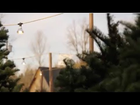 How to Setup Your Christmas Tree Lot | The Kirk Company