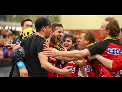 NLA Playoff 1/4-Final, Spiel 7: Alligator Malans - Chur Unihockey - Alle Tore
