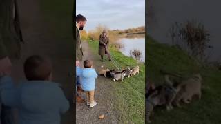 Download lagu Funny video! This kid is causing trouble and laughing so hard #shorts mp3