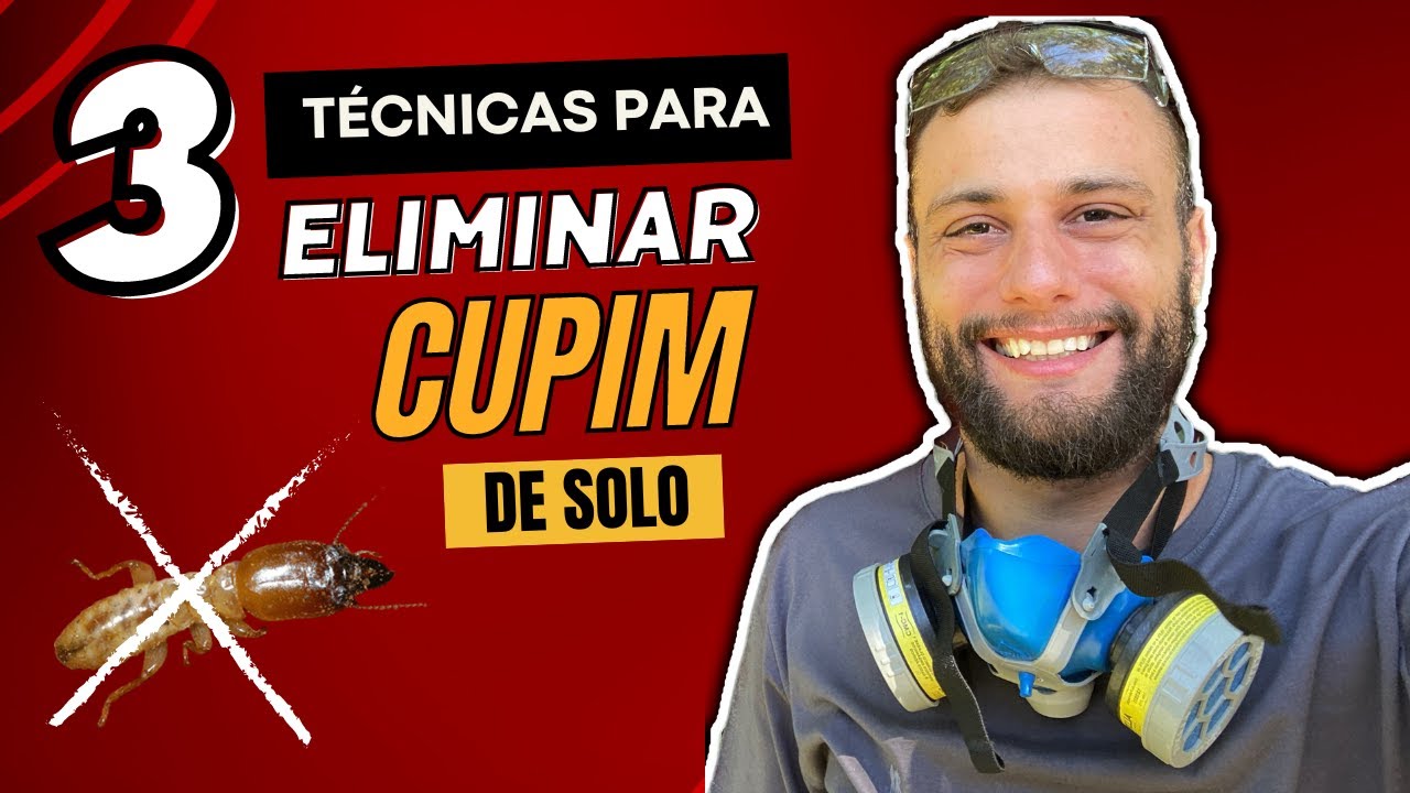 Técnicas para acabar com cupim de solo: perfuração, iscas e barreira química
