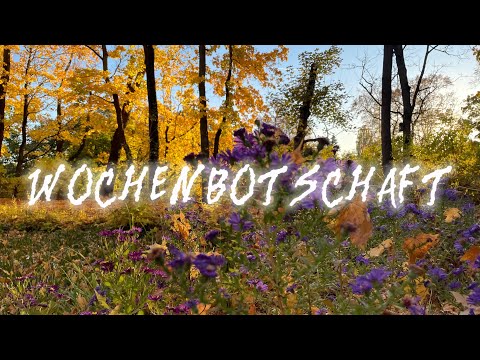 Weekly Oracle 💜🍂20.-26.10.25 • Strong, your self-respect leads you to happiness