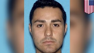 Los Angeles police shooting: LAPD hunting down rookie officer after deadly nightclub shooting