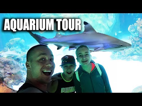 Their FIRST aquarium tour!