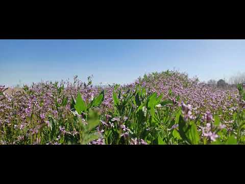 Paul Oakenfold - Tranceport