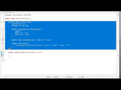 Primitive & Object Reference Variables in Java