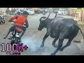 Indian Funny Videos hd Hindi 2017 | Indian Funny Video Clips Try Not to laugh Indian Funny Videos hd Hindi 2017 | Indian Funny Video Clips Try Not to laugh