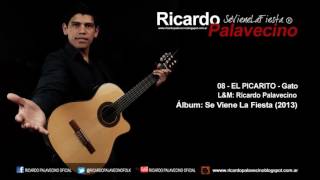 Ricardo Palavecino - El Picarito (Gato) | Se Viene La Fiesta