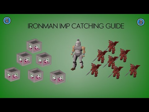 OSRS NEW Ironman Imp Catching | Imp in a box | Hunter