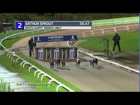 2020 RPGTV PUPPY TROPHY - HEAT 2 - T2 ARTHUR SPROUT