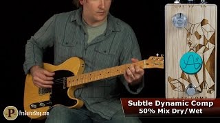 pro guitar shop demo of the lazy comp