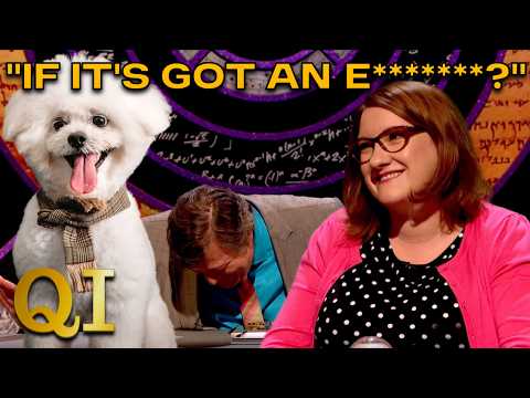 How Do Dogs Secretly Show They're Happy To See You? | QI