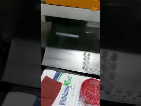 Khuôn trái cầu, lọc nước thải - NHỰA LÂM LÂM PHÁT - 0907348588 Mr. Truyền - 0972022157 Ms. Hương