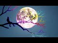 Dhoondta Tha Ek Pal Mein Dil Jise Ye Sau Dafa Status Arijit Singh Sad Status Sad Status Broken
