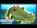 Octonauts The Saltwater Crocodile Season 2 Full Episodes Cartoons For Kids