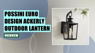 Possini Euro Design Ackerly Outdoor Wall Light Review