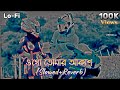 Ogo Tomar akash duti Chokha || Diya Jahan || Hasan S. lqbal || (Slow+Reverb) || New Bangla Song