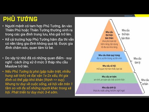 Cách cục Phủ Tướng