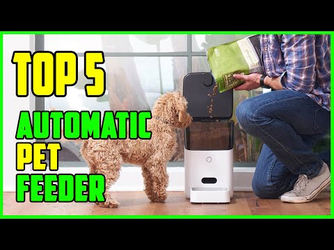 TOP 5: Best Automatic Pet Feeder 2022