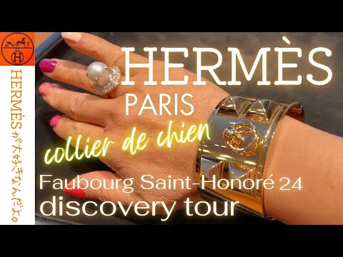 園芸 ラージワイルドチャービル、ムスクチャービル、パーペチュアルチャービル、フレグランスミルラ、ジャコウシダ