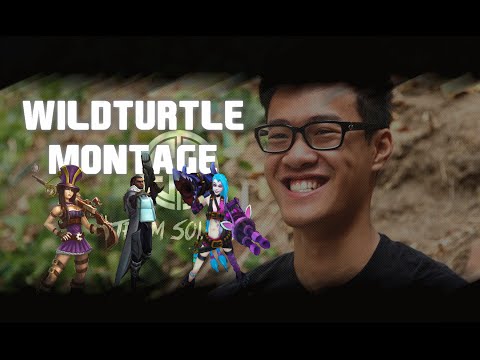 WildTurtle Montage - Best of WildTurtle - League of Legends - LoL Videos