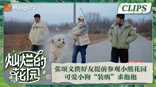 【精彩看点】张颂文携好友提前参观小熊花园，可爱小狗“装瘸”求抱抱 | 灿烂的花园 Brilliant Garden EP01 | MangoTV Super Variety