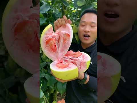 , title : 'Best relaxing fruit tree farming | Oddly satisfying fresh fruit | Fruit Ninja Harvesting #653