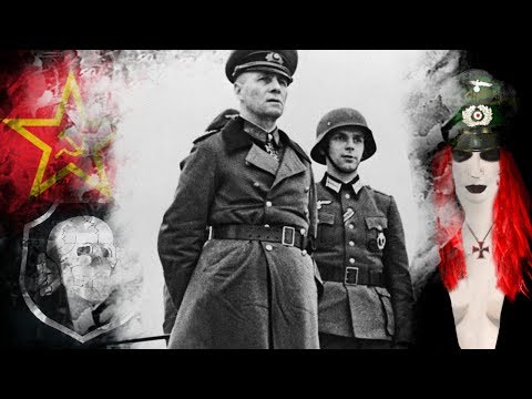 Niemiecki Pustynny Lis w Afryce