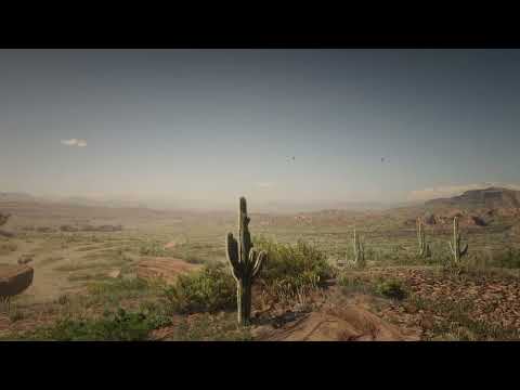 Ambient Red Dead Redemption 2 - North of Armadillo