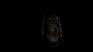 【slenderman実況】メモを求めて森の中を深夜徘徊part1