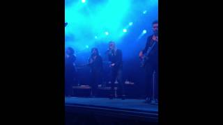 Ilse DeLange - blue bittersweet